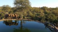 African Webcams: National Park Webcams