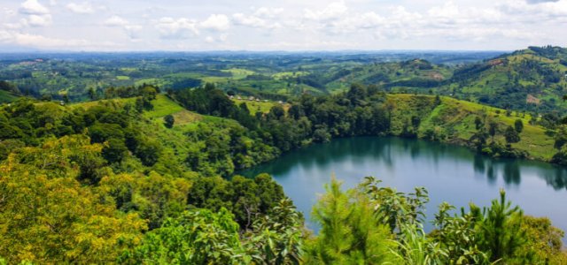 Kibale National Park Guide