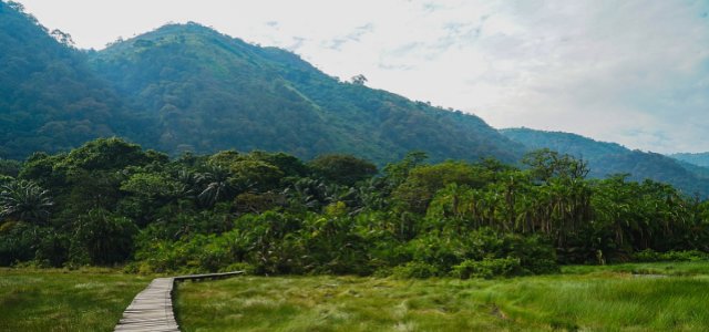 Semiliki National Park Guide