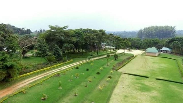 Tooro Botanical Gardens Guide