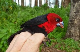 Tooro Botanical Gardens