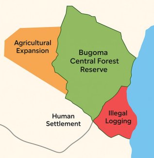 Bugoma Central Forest Reserve Conservation Risks