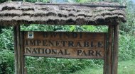 Bwindi National Park