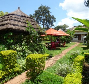 Accommodation in Masindi Guide