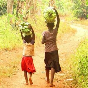 Things to Do in Hoima Guide