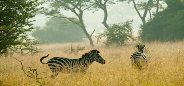 Lake Mburo National Park Guide